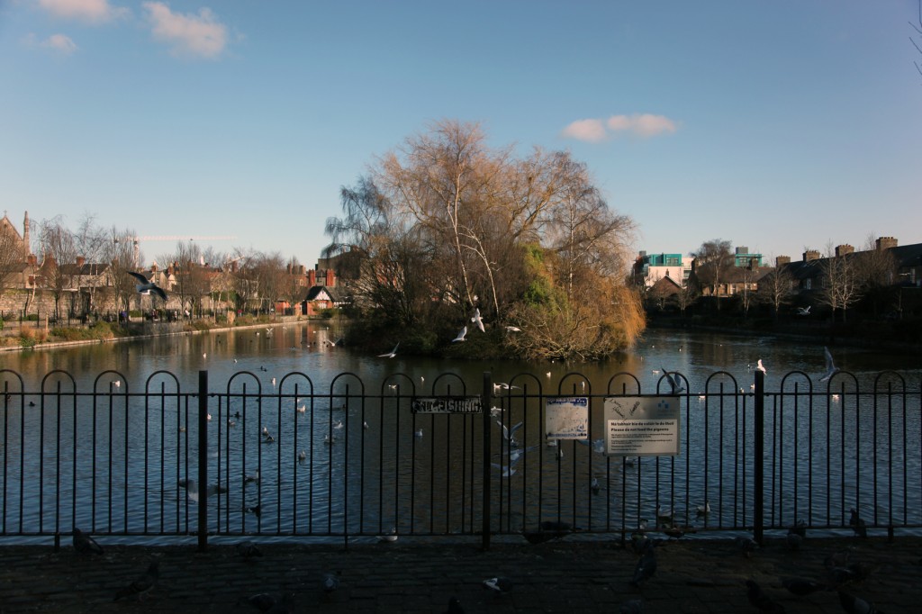 bd-blessingtonstreetbasin-1